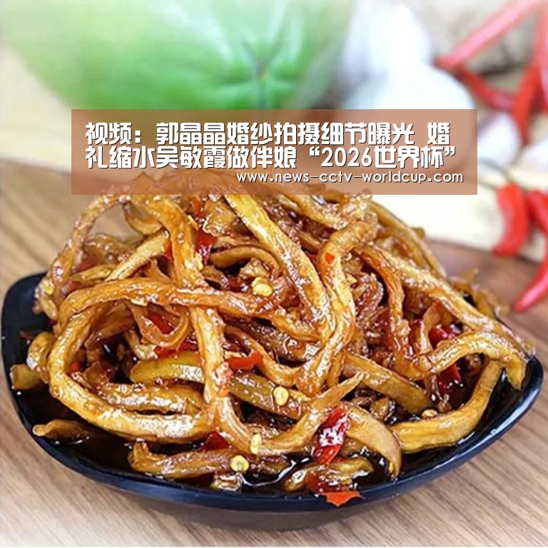 2026世界杯官网