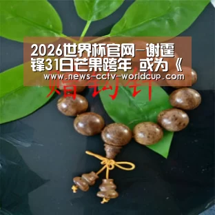 世界杯网站