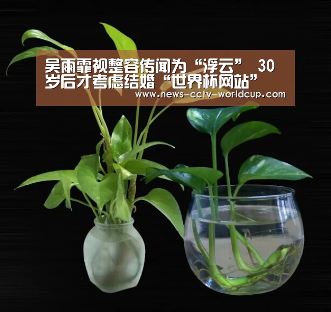 吴雨霏视整容传闻为“浮云” 30岁后才考虑结婚“世界杯网站”(图3) 世界杯网站
