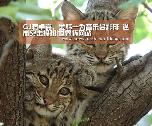 GJ蒋卓嘉、金韩一为音乐会彩排 温岚突击探班|世界杯网站(图1) 2026世界杯