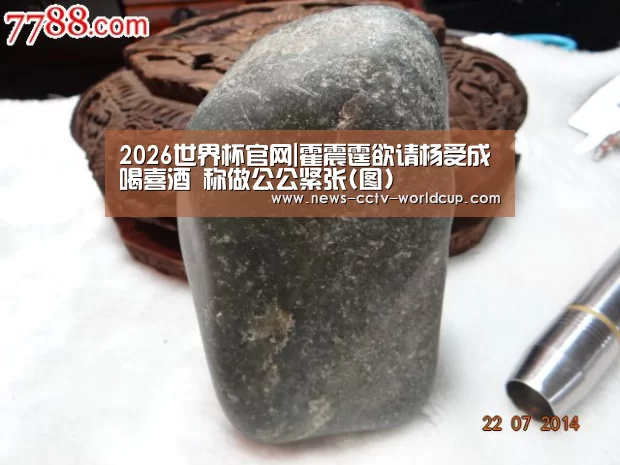 2026世界杯官网