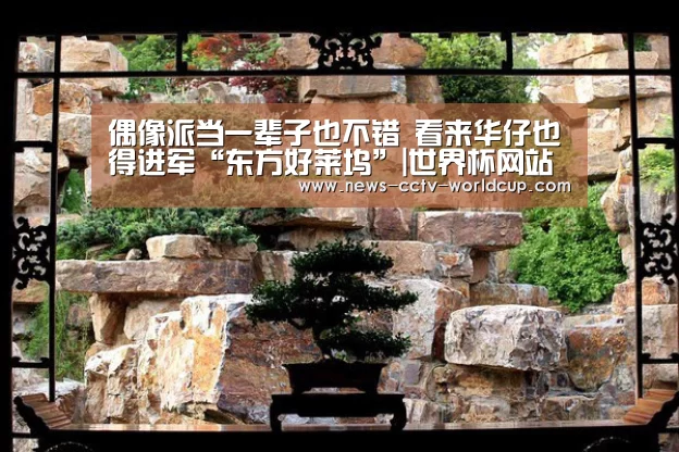 偶像派当一辈子也不错 看来华仔也得进军“东方好莱坞”|世界杯网站(图2) 2026世界杯
