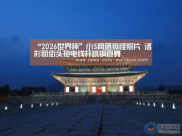 “2026世界杯”小S网晒搞怪照片 洛杉矶街头抱电线杆跳钢管舞(图2) 世界杯网站