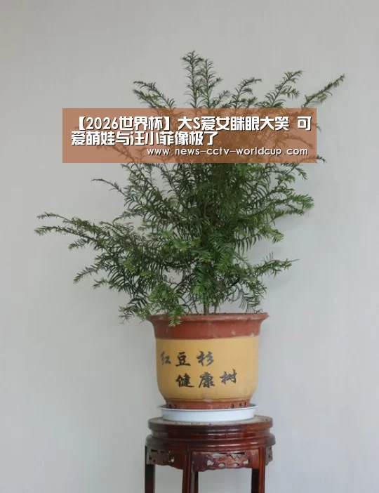 【2026世界杯】大S爱女眯眼大笑 可爱萌娃与汪小菲像极了(图1) 2026世界杯